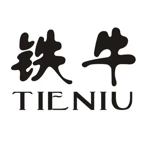 铁牛tieniuironcattle