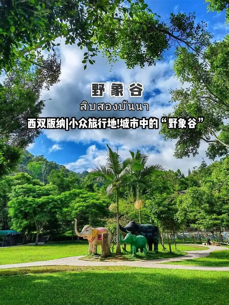 西双版纳|小众旅行地!城市中的"野象谷"#图文伙伴计划 野象 - 抖音