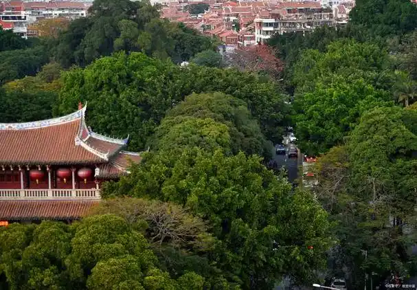 它位于福州市晋安区东部,闽江北岸,海拔高达969米!