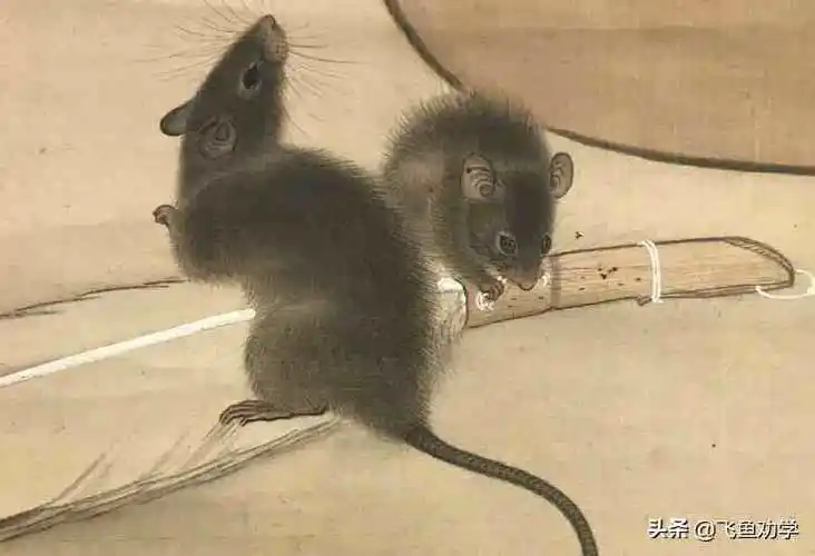 窥伺是什么意思(潜畏窥伺)-第4张图片-创女网