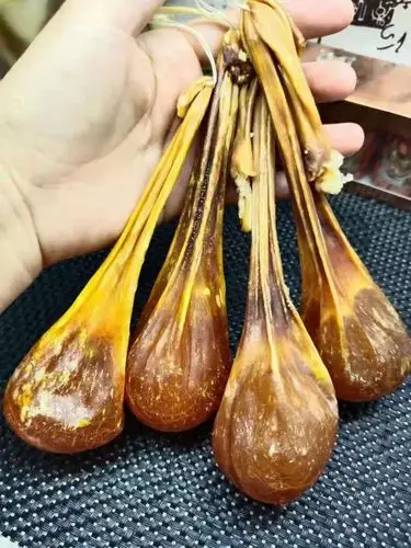 金胆又称为琥珀金胆中黄金顶级熊胆中的顶级