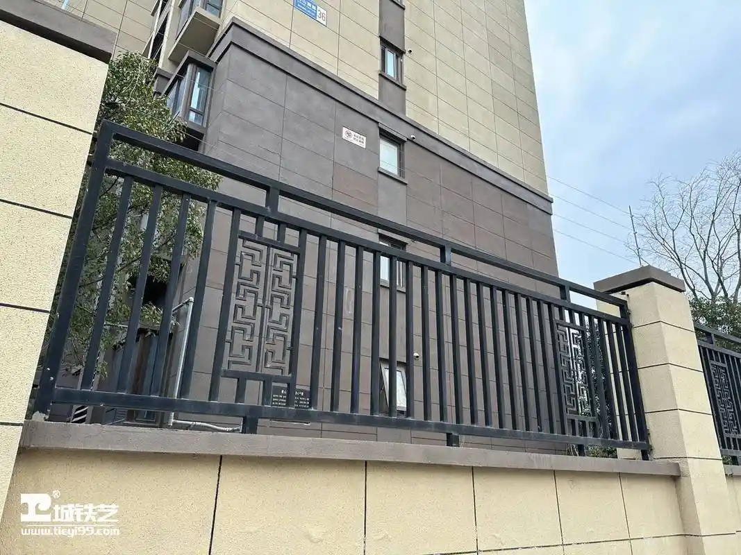 铁艺围栏|铁艺围墙|围墙护栏tw2298-实景拍摄