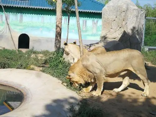 龙口市动植物园