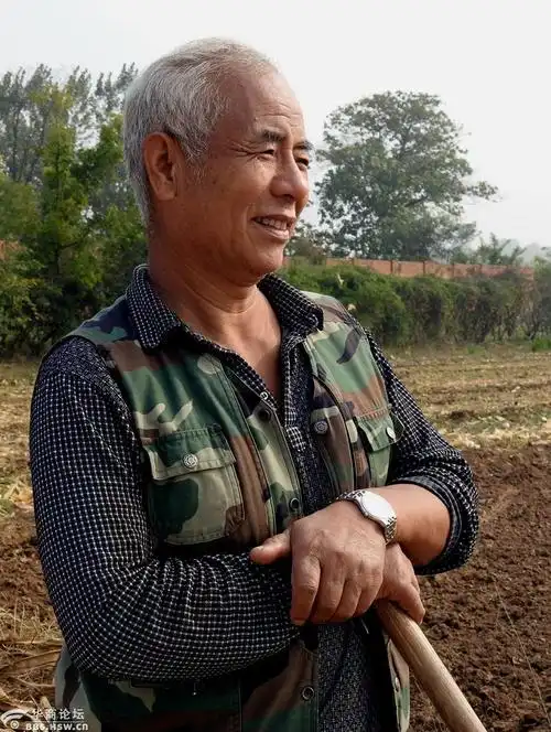 在田间干活的农民