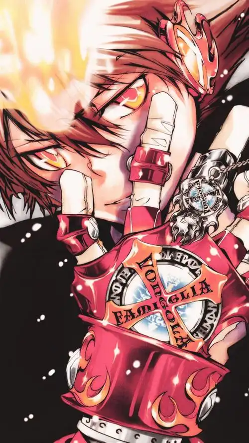 日本动漫家庭教师沢田纲吉,高清图片,手机锁屏桌面-壁纸族