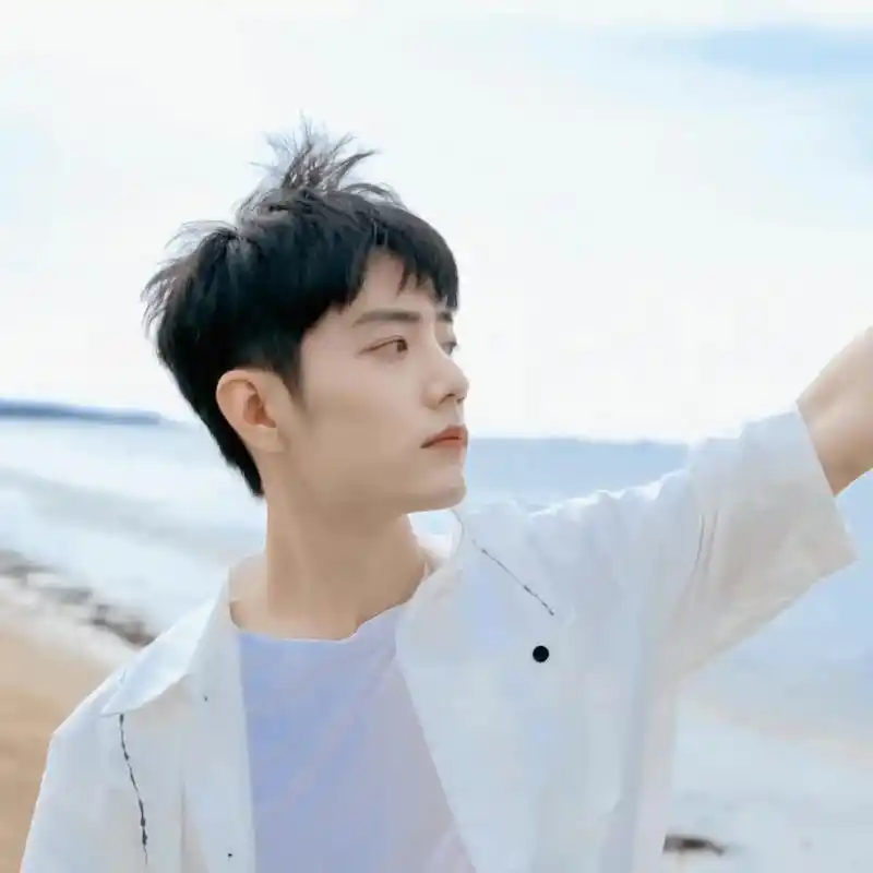 请欣赏#肖战 的小清新头像合集～#内娱明显头像大户 你有被我 - 抖音