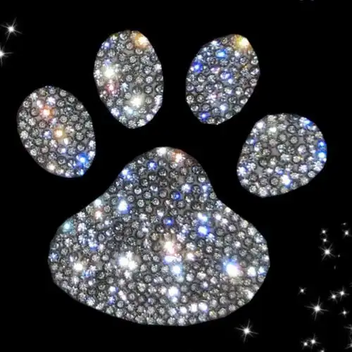 带钻天鹅车用贴纸水钻贴车内改装汽车装饰用品满钻大壁虎脚印水钻