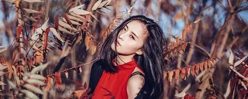 秋水无奈,让小琴到洪家报信,洪家兄弟震惊不已,春贤却阴阳怪气地说一