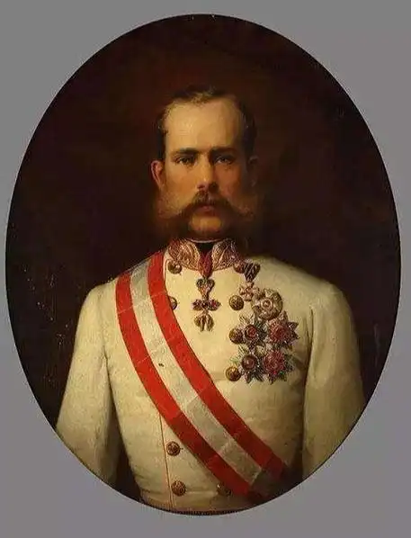 卡尔大公的长子,1848年,奥地利帝国发生起义,斐迪南