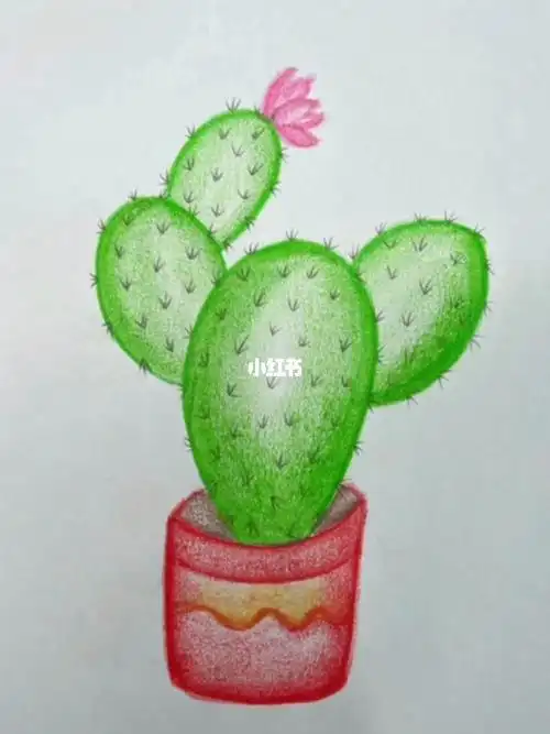 简单画仙人掌