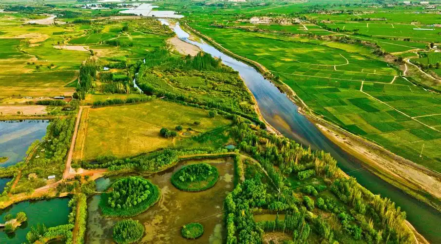 张掖盛夏时节黑河两岸生机盎然