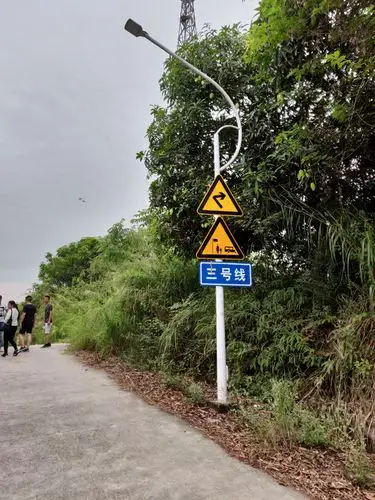 科目三考试攻略