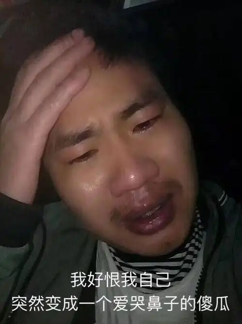 我好恨我自己突然变成一个爱哭鼻子的傻瓜 - 近期热门无水印表情包