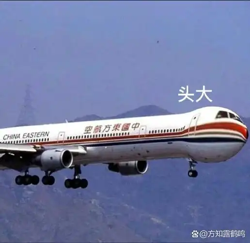 飞机✈️表情包😜😜