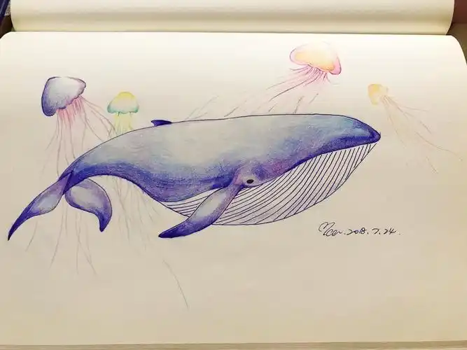 大鲸鱼_冰淇淋小乌饼__插画师作品_涂鸦王国gracg.com