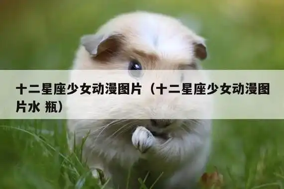 十二星座少女动漫图片(十二星座少女动漫图片水 瓶)插图