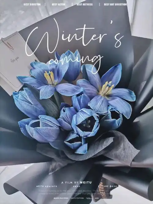 容桂花店  #佛山花店  #午夜蓝郁金香  #蓝色郁金香