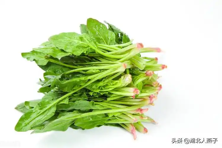 二,菠菜