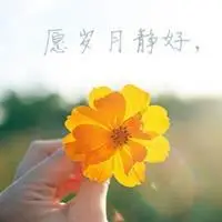 表示岁月静好的图片_微信头像图片大全