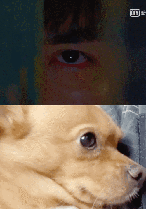 669_960竖版 竖屏gif 动态图 动图