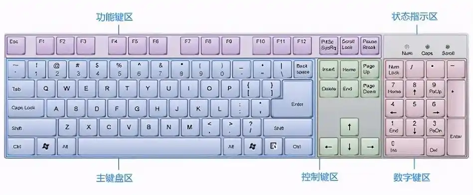 这些按键又按照主键盘区,功能键区,控制键区,数字键区四个部分排列