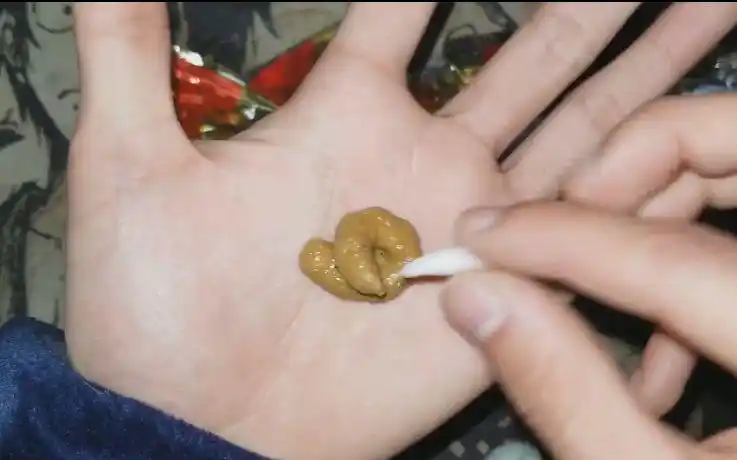 大良丧心病狂的把屎放在手上揉搓