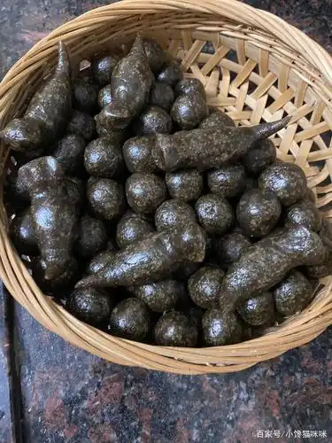 教你做三月三的鸡屎藤糍粑,口感软糯,味道清甜