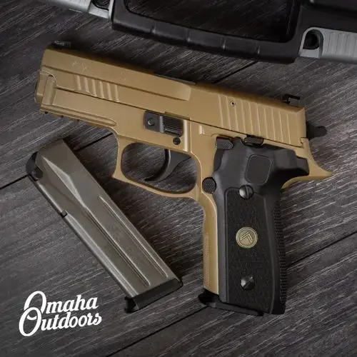 短小紧凑又不失沉稳西格绍尔公司p229手枪图集