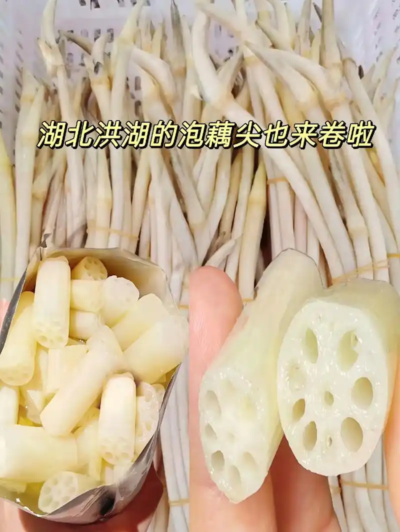 洪湖手工腌制泡藕带.#图文伙伴计划 快来尝鲜,湖北洪湖泡藕尖 - 抖音