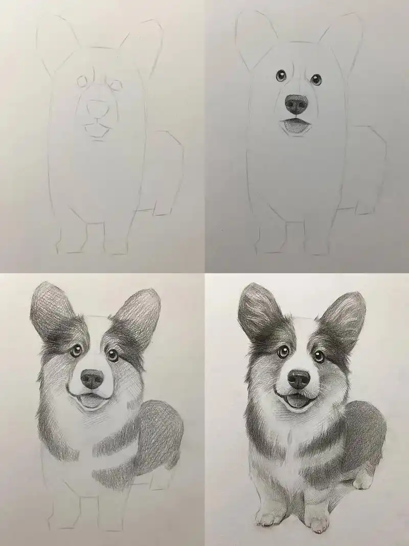 素描小柯基.#素描 #一起学画画 #零基础教学 #跟着抖音学 - 抖音