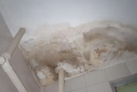 墙面漏水的原因有哪些,如果漏水如何处理?