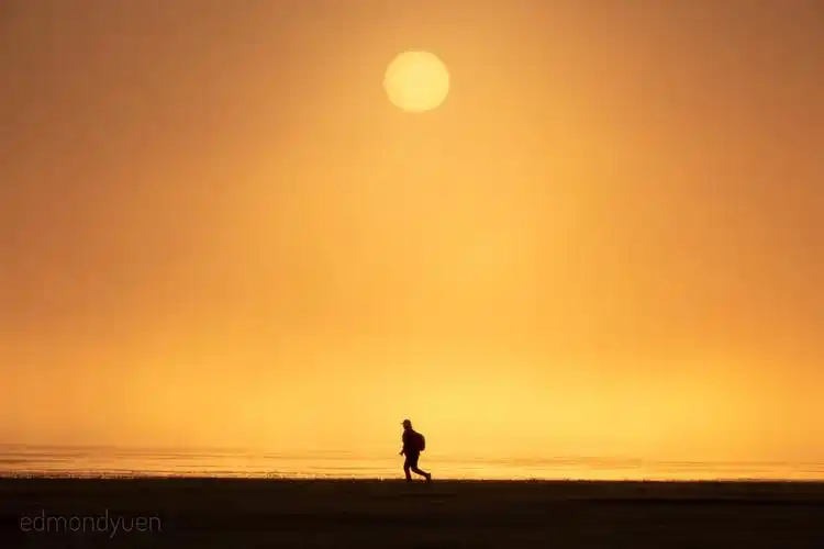 晨光下的独行者