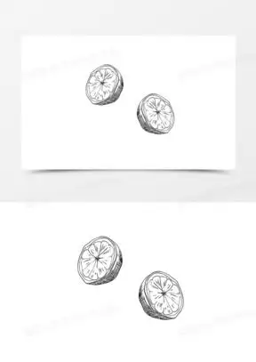 卡通手绘简笔画半个橙子