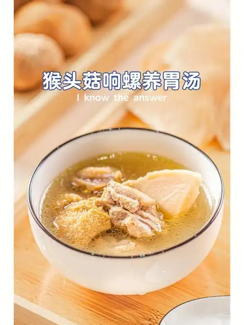 学煲汤一碗热汤暖心暖胃猴头菇养胃鸡汤