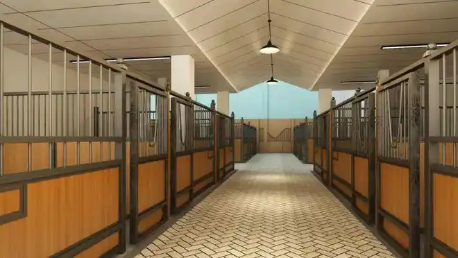 马术俱乐部|障碍赛|骑乐_网易订阅