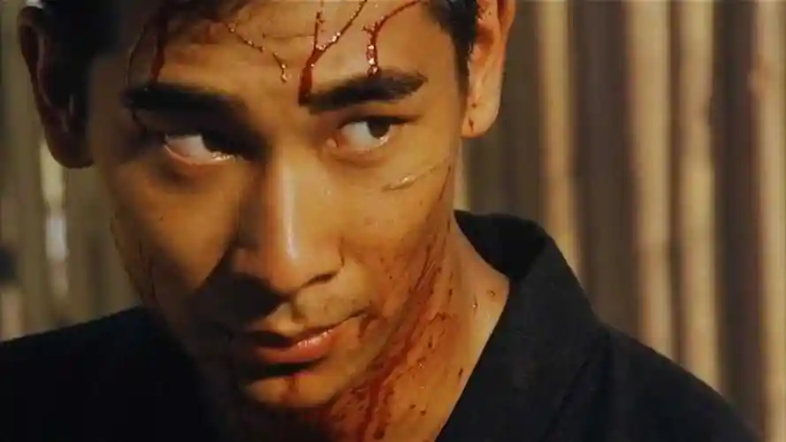 赵文卓电影之[断刀客]