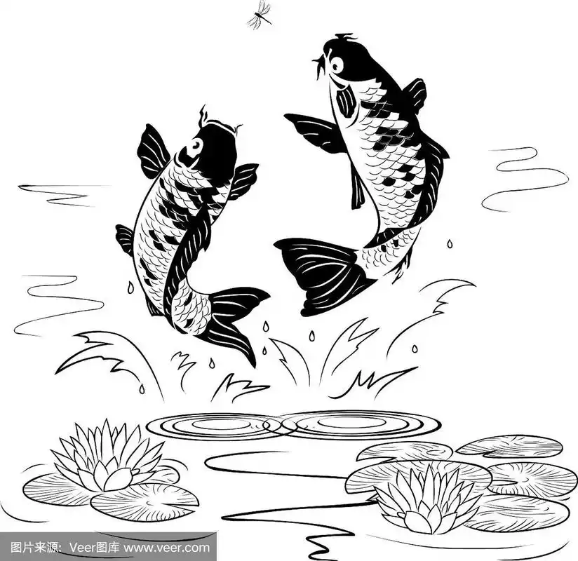 两条鲤鱼跟着一只蜻蜓跳出水面