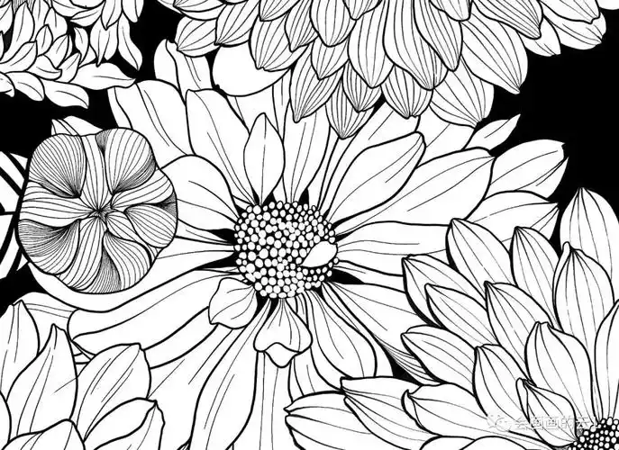 零基础线描画入门:分步骤讲解线描花卉,教程太给力了,快来临摹学习吧!