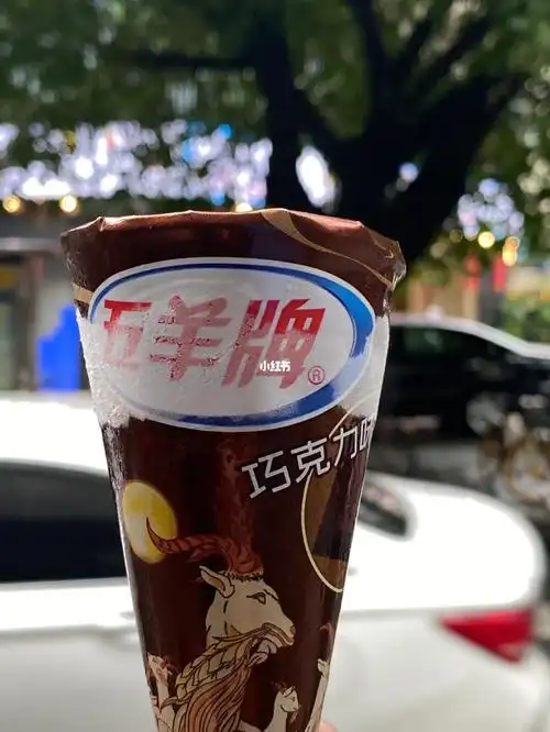 广州人民的回忆五羊牌甜筒