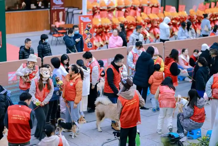 深圳国际宠物展来啦!"铲屎官"速戳→|宠物展_新浪财经_新浪网