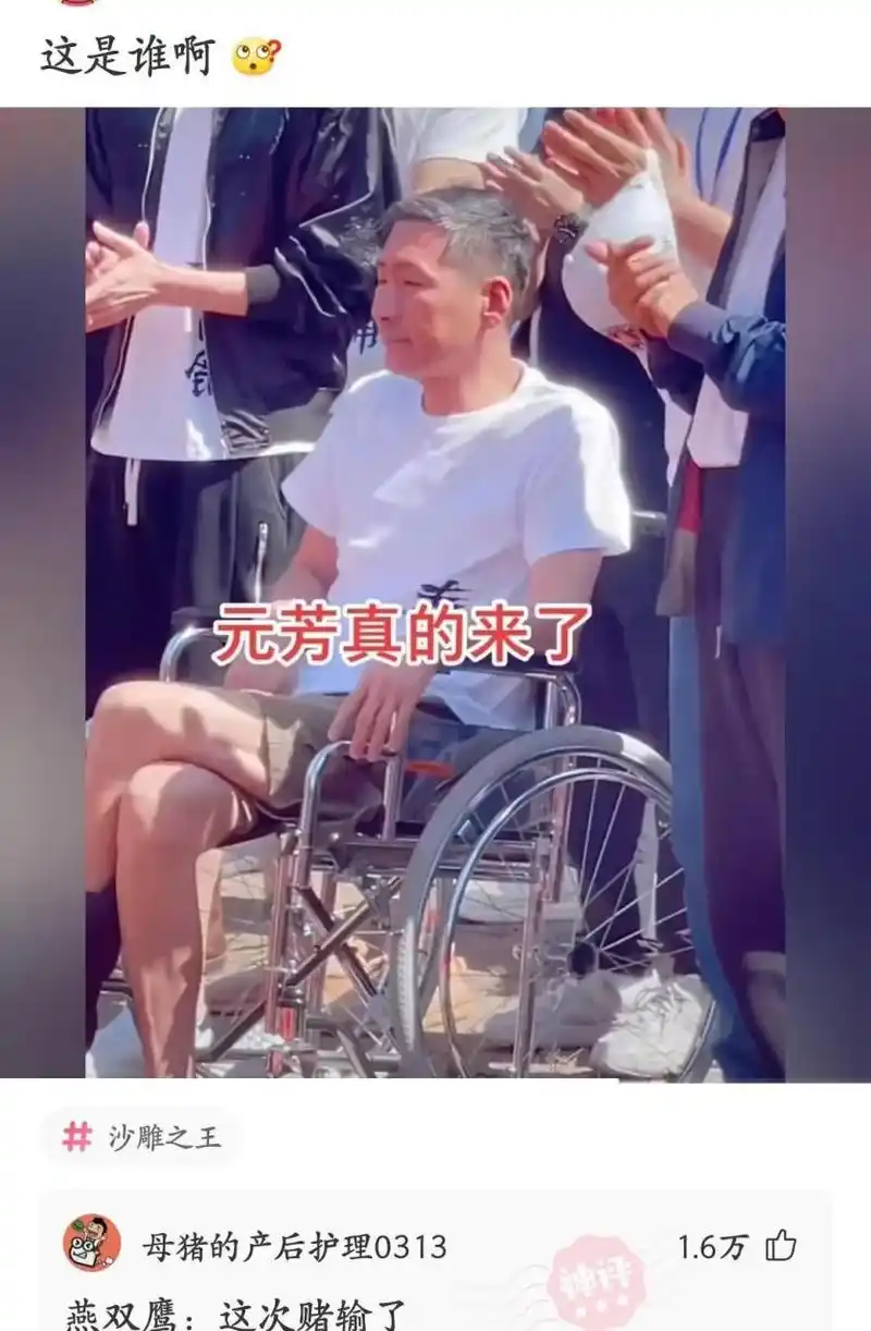 燕双鹰坐轮椅 ? 我他妈接受不了了