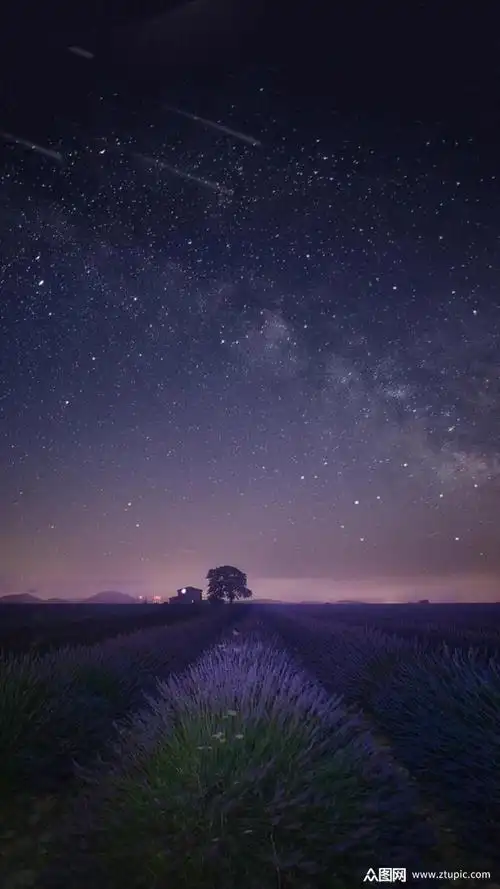 夜景星空乡村唯美自然风光实拍