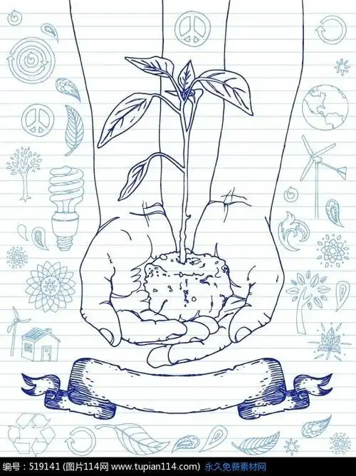 双手捧着的土壤树苗插画