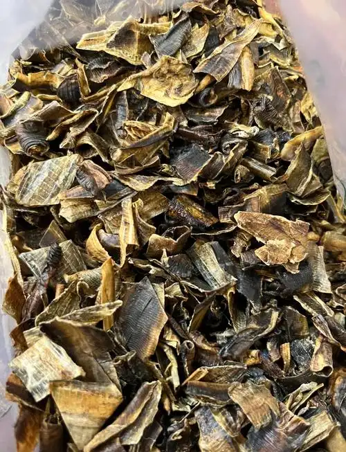 中药地龙药性功效