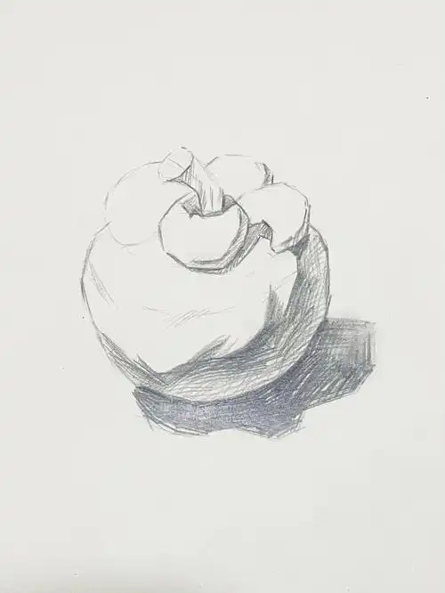 素描水果练习山竹