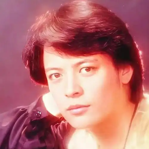 70岁歌手刘文正突发心梗去世,遗言曝光,她继承亿万遗产却最痛心|费翔