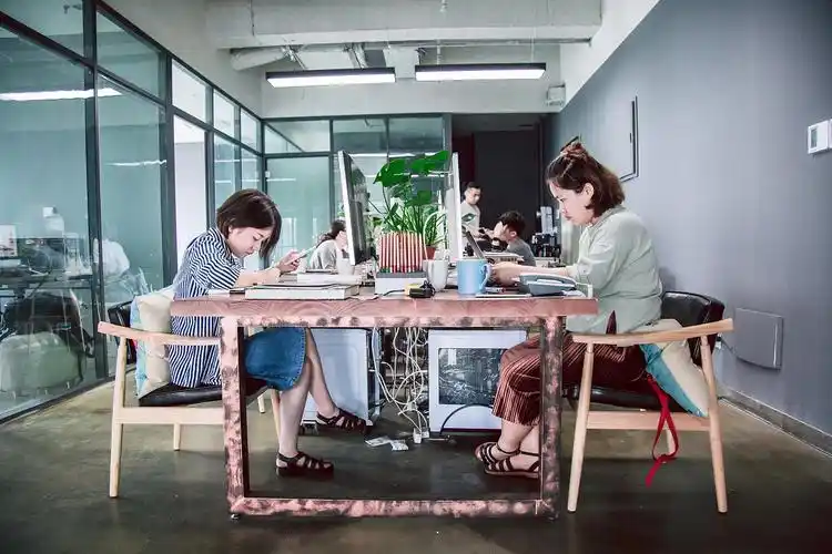 设计师们的工作照