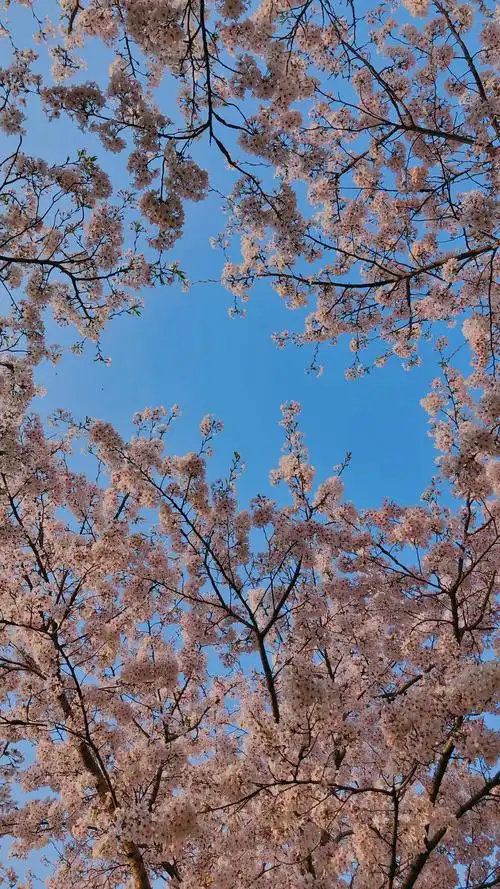 自己日常记录生活的图片希望大家喜欢