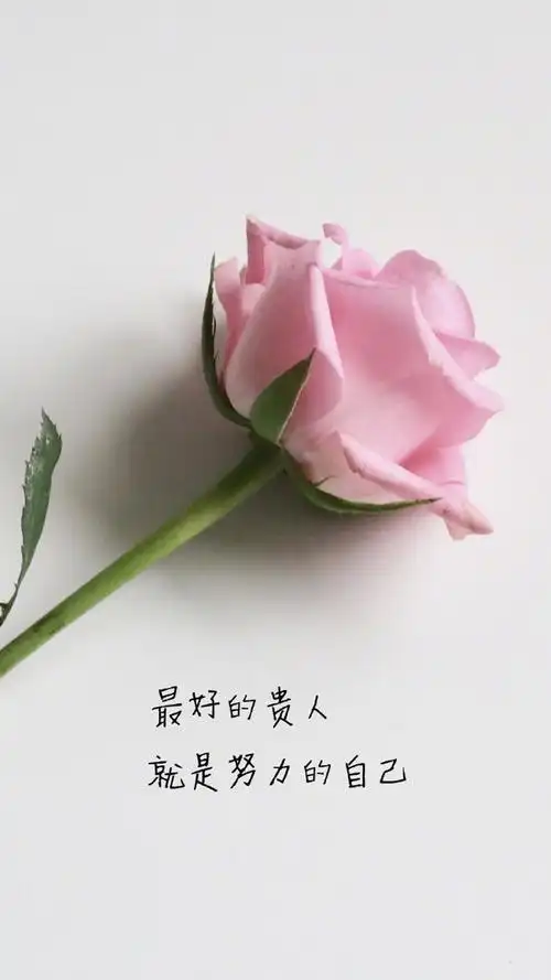 小清新文字语录手机壁纸