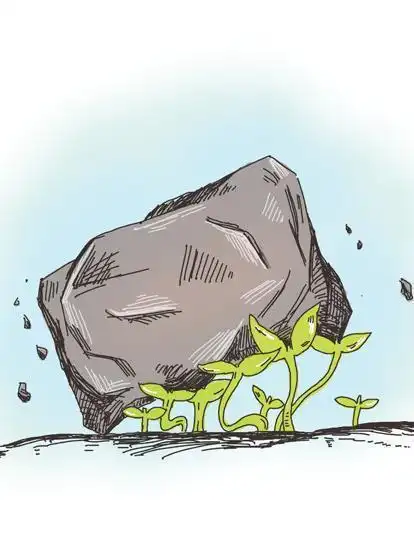 在曲折中前进图片